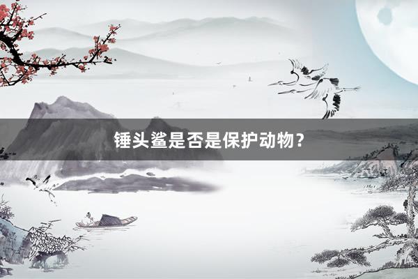 锤头鲨是否是保护动物？